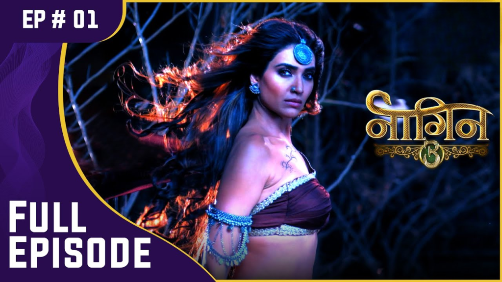 naagin-s3