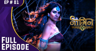 naagin s3